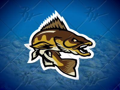 Toledo Walleye designs, themes, templates and downloadable graphic elements  on Dribbble