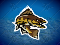 Walleye Designs on Dribbble