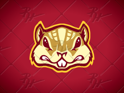 Goldy 3 athletics football golden gophers gophers hockey mascot minnesota ncaa sports