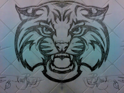 Wildcat Sketch