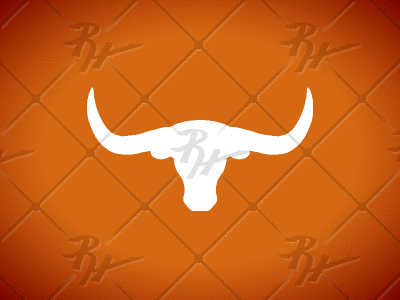 Texas Longhorns Concept college mascot ncaa sports steer texas