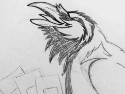 Rook Anyone? Rook Design Sketch bird card game corvis crow game pencil raven rook sketch