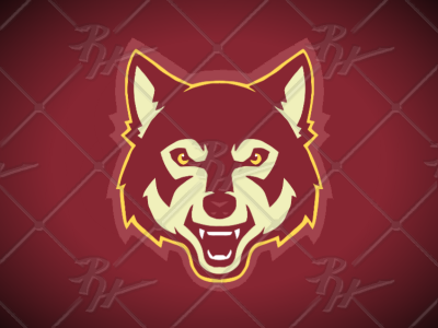 NSU Wolf Concept athletics basketball d2 football ncaa northern sports wolves