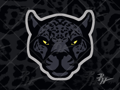 Jaguar Dark athletics black panther jaguar leopard panther prowl sports