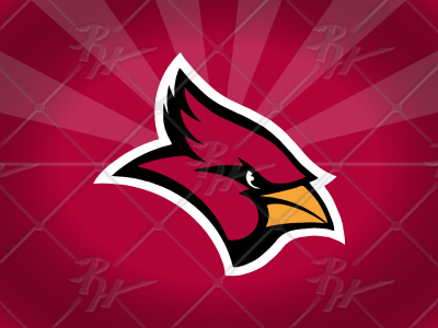 ArtStation - Arizona Cardinals Rebrand 2