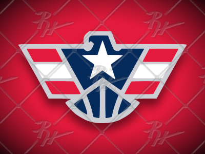 Washington Warbirds athletics basketball bullets design eagle illustration logo nba sports wizards
