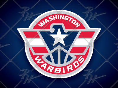 Washington Warbirds Roundel
