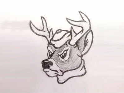 Vintage Style White-tailed Buck Mascot Sketch antique athletics basketball classic college design football high school logo mascot ncaa sketch sports vintage