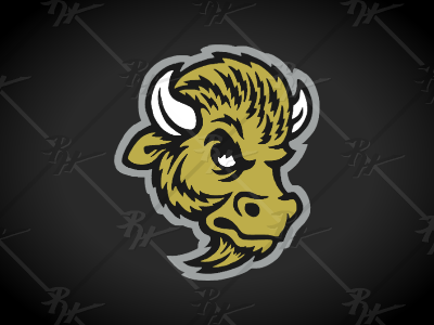 Vintage Colorado Buffaloes Update