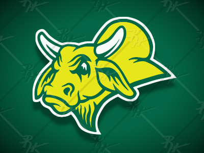 Vintage Style USF Golden Brahman + antique athletics basketball brahma bull bulls classic college football golden brahman high school logo mascot ncaa new south florida sports tampa usf vintage