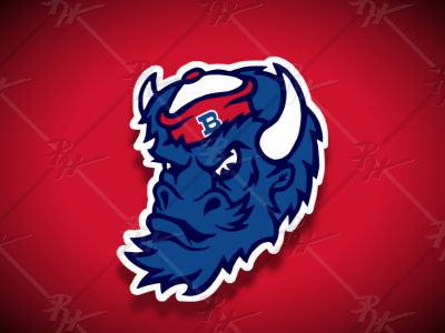 Vintage Style Buffalo Bills BUFFALO Mascot
