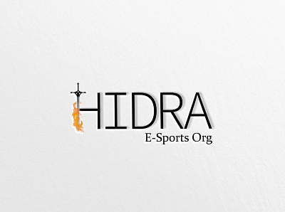 HIDRA, E-gaming branding design e sport gaming graphic design illustration logo motion graphics online gaming