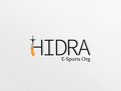 HIDRA, E-gaming