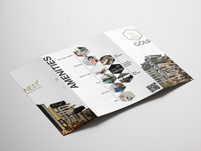 Gold Nest- Gatefold Brochure (back) branding campaign design graphic design illustration logo