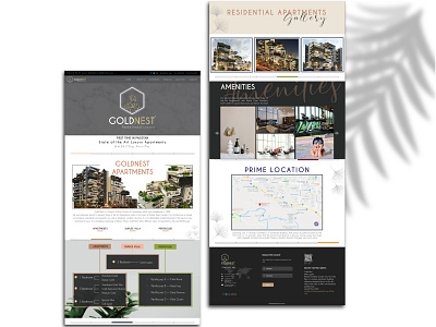 Gold Nest- Website branding campaign design graphic design illustration ui ux