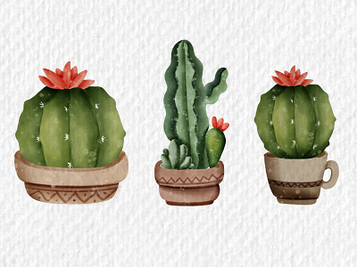 Watercolor cacti branding design illustration logo watercolor watercolor clipart
