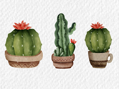 Watercolor cacti