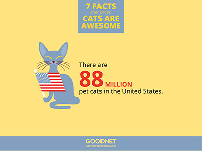 Facts about Cats Infographic