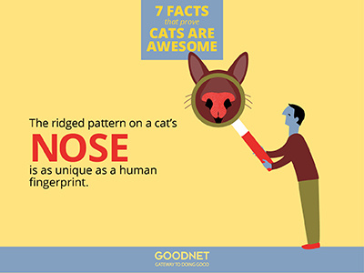 Facts about Cats Infographic