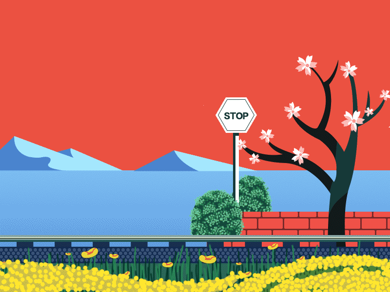 sakura and travel animation fun illustration