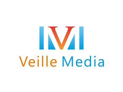 Veille Media #3 branding colorful concept design flexible identity logo