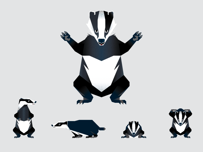 Badger badger character children educational game