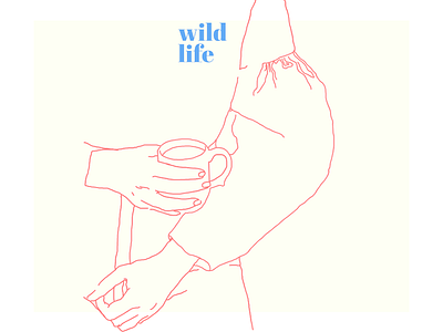 Wild life illustration linedrawing mccartney outline wildlife