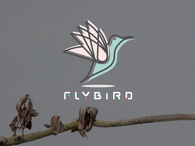 Humming Bird Logo Brand Identity Design