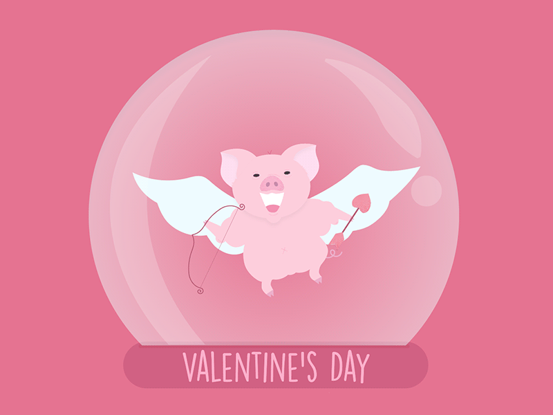 Valentine's Day 2d after effect animation cupid design heart illustration love pig valentine day vector