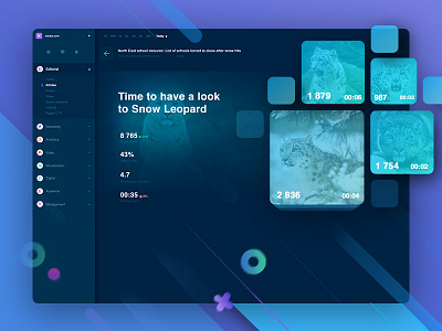 The new way of articles analysis analytics article dashboard data dynamics gallery presentation product statistics ui ux video