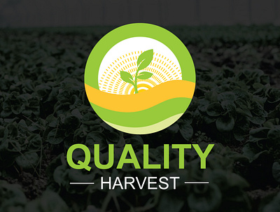 Quality Harvest agriculture logo agriculture logo business card businesslogo card design graphic design illustration logo modern logo simple logo