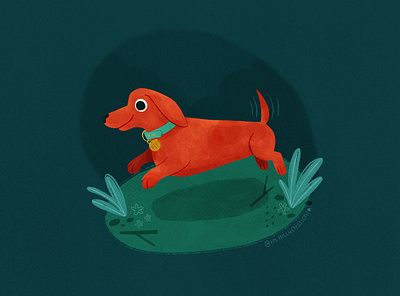 Pip children book illustration childrens book childrens illustration dachshund dog illustration pet puppy wiener dog
