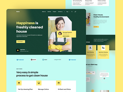 House Cleaning Landing Page cleaning cleaning landing page home cleaning website homepage maid minimal redesign service website