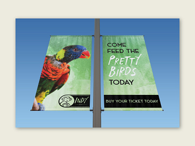 Indy Zoo Banners