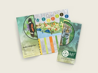 Indy Zoo Brochure advertising brand branding branding design brochure design illustration illustrator indiana indianapolis layout logo pentool vector