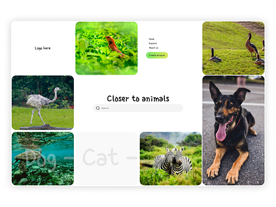 Animal web design - landing page animal landingpage ui ui design uxui design web design