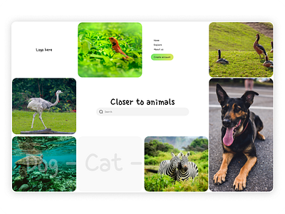 Animal web design - landing page