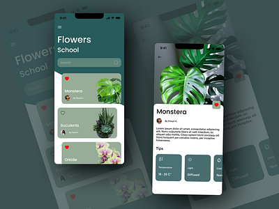 Floristy app mobile 3d branding design designer illustration job logo ui ux vector webdesigner