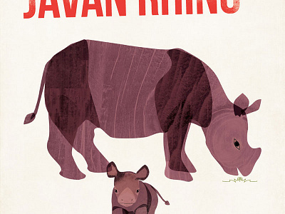 Javan Rhino animals illustration rhino type