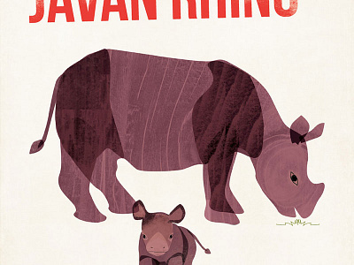 Javan Rhino