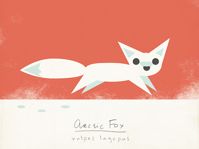 Arctic Fox animals arctic fox illustration modern nature