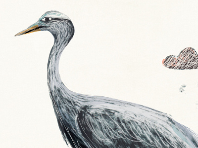 Blue Crane Illustration amy sullivan bird blue crane crane drawing illustration species