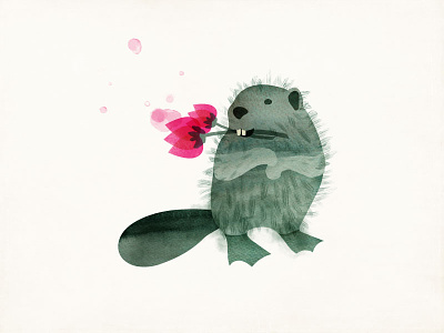 Nonconformist Beaver amy sullivan animal beaver drawing illustration rebel watercolor