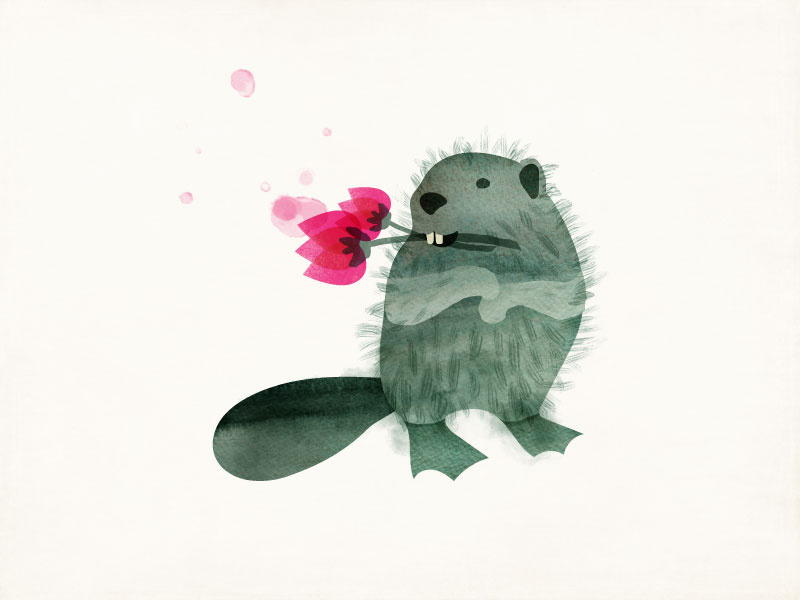 Nonconformist Beaver amy sullivan rebel watercolor drawing beaver animal illustration