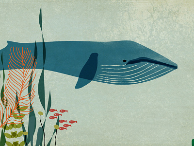 Sustainable blue whale fish illustration ocean sea under water