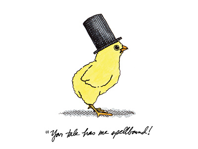 Chichi Chicks: Spellbound chicken fancy illustration