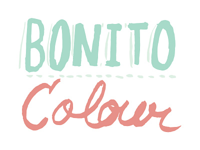 Bonito Colour coral identity lettering logo mint