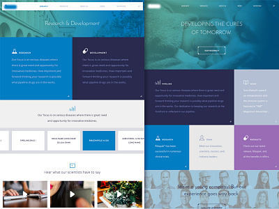 Research and Develop ui ux web design