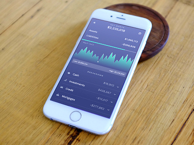 Net Worth Report data finance ios mobile ui ux