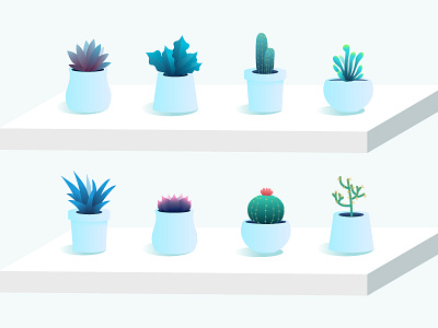 succulent plants succulent plants